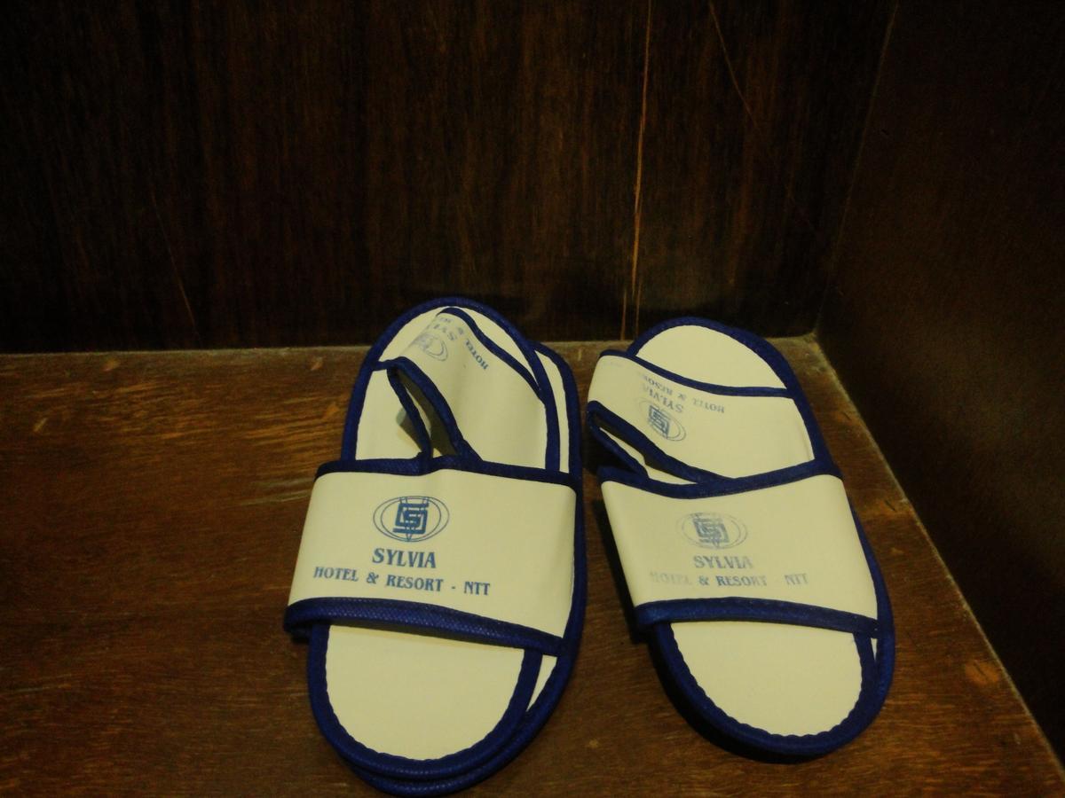 קופנג Sylvia Hotel Budget מראה חיצוני תמונה